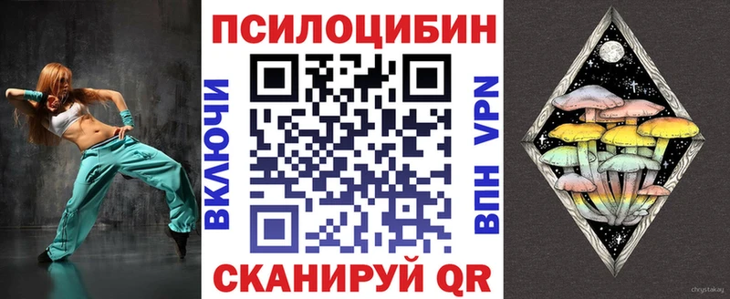 Псилоцибиновые грибы Psilocybe  Купить закладки  Армянск 